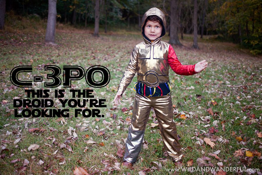 C-3PO + Top Stitchers