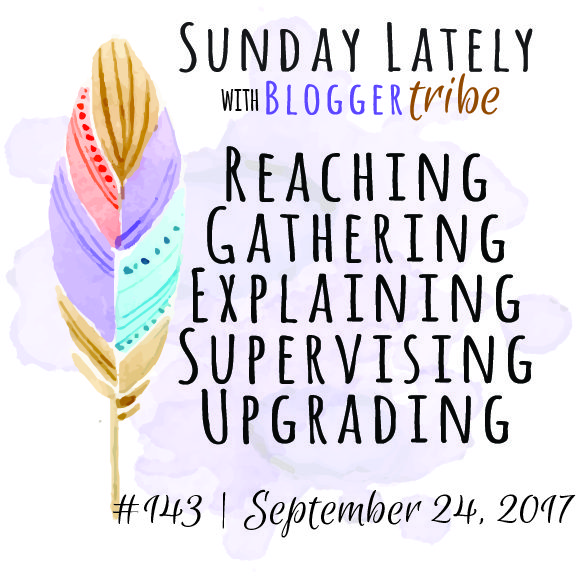 Sunday Lately :: Week 143