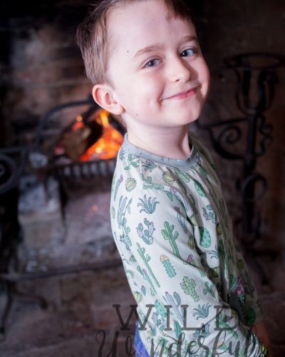 December WeeBox | Vinegar + Honey Co.