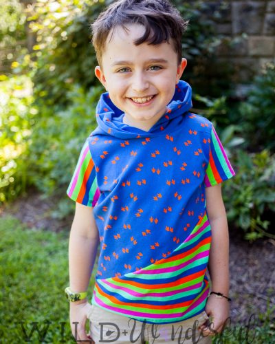 Jurassic by RP Custom Fabrics