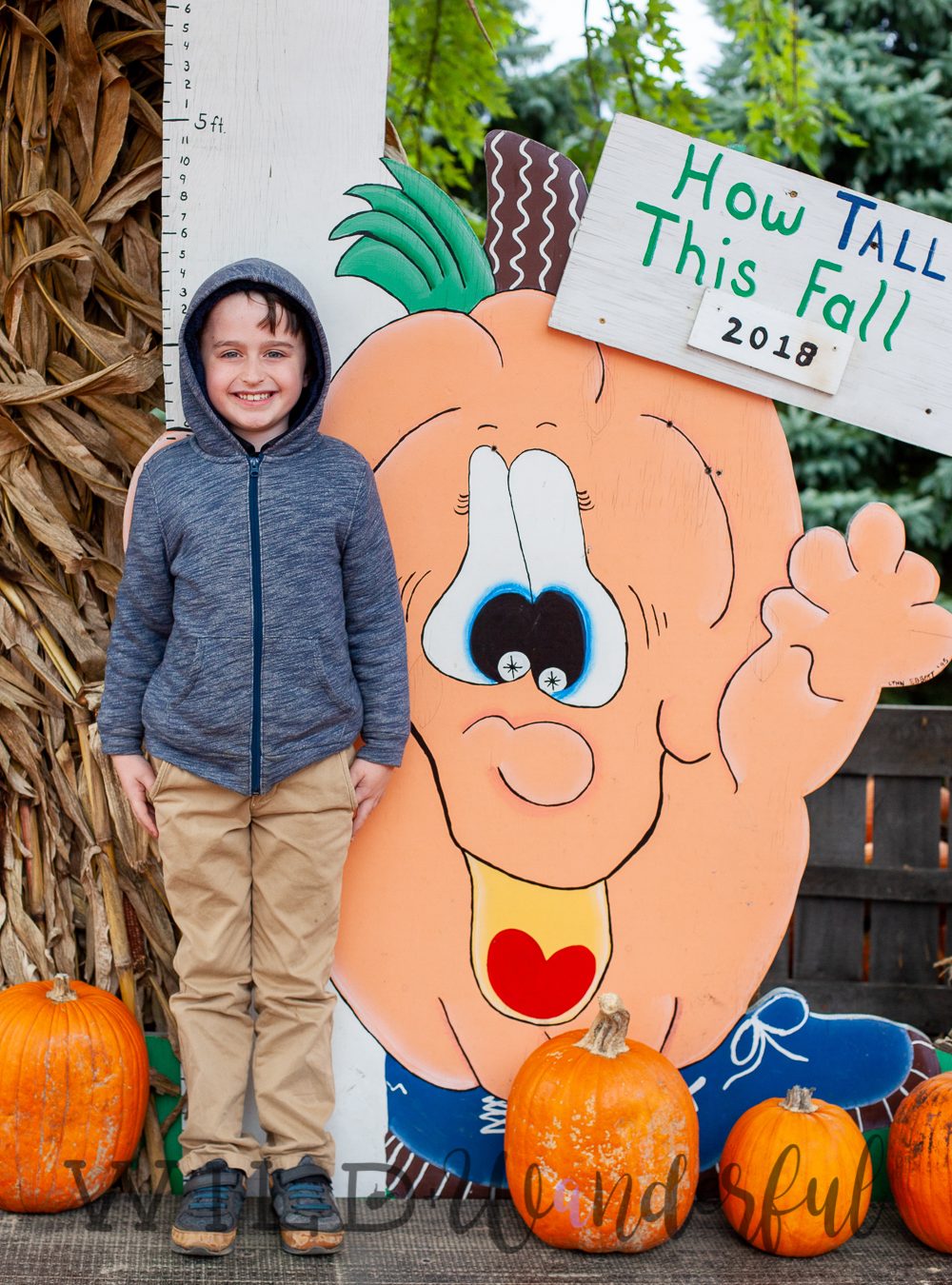 Pumpkin Patch 2018